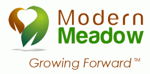 modern-meadow-3d-meat-printing